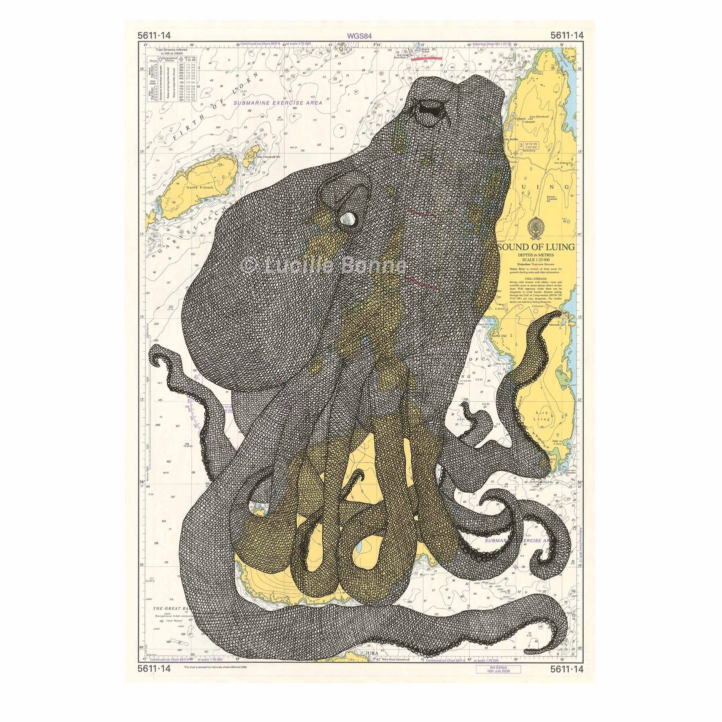 Common Octopus I - Unframed