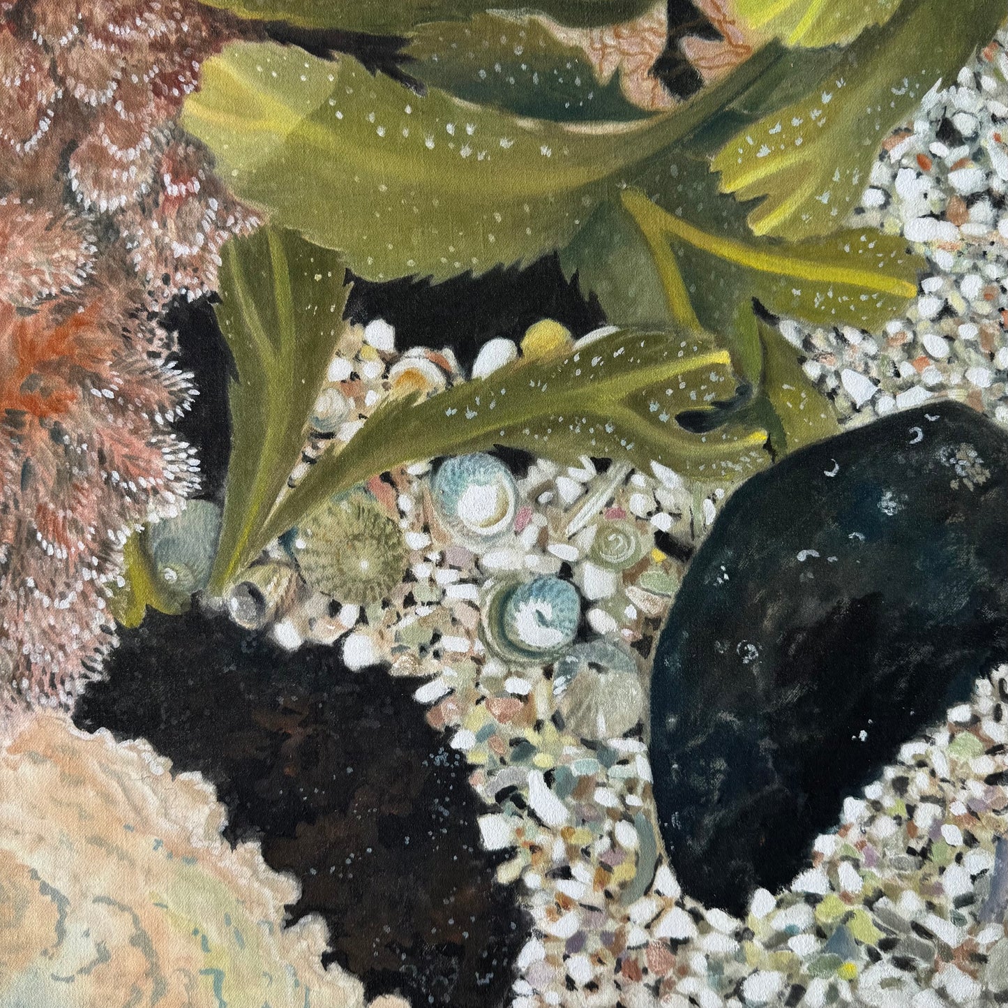 Rockpool Study I