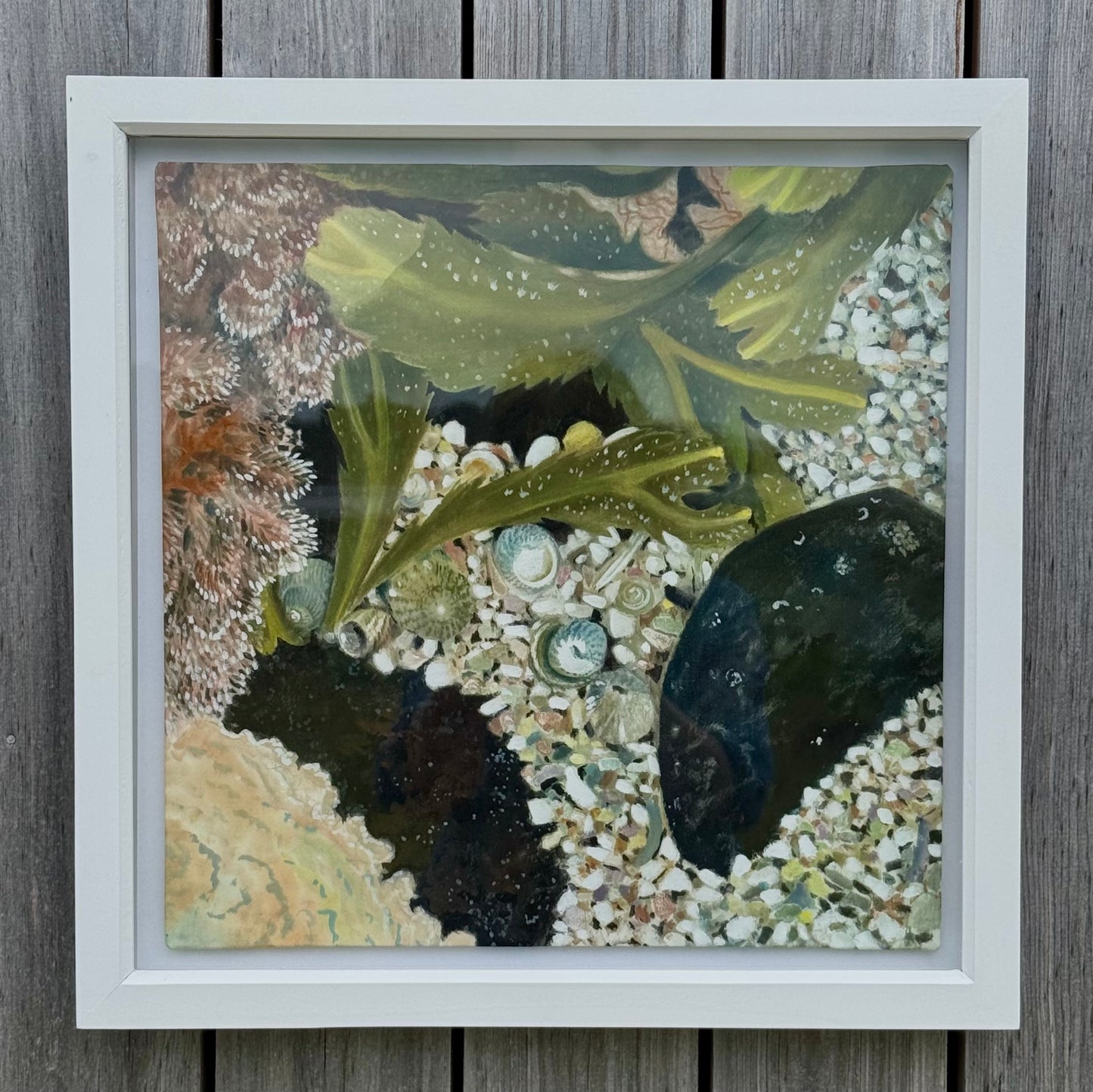 Rockpool Study I
