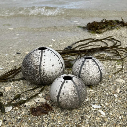 Raku Sea Urchins - Black and White