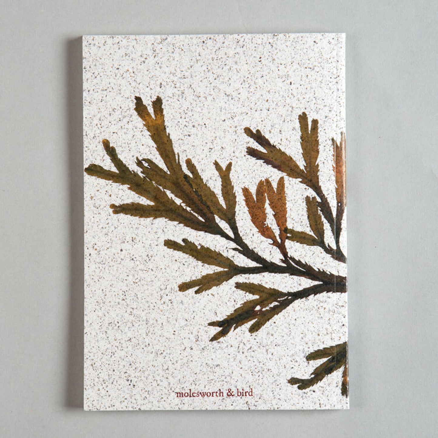 Seaweed Notepad, Notebook