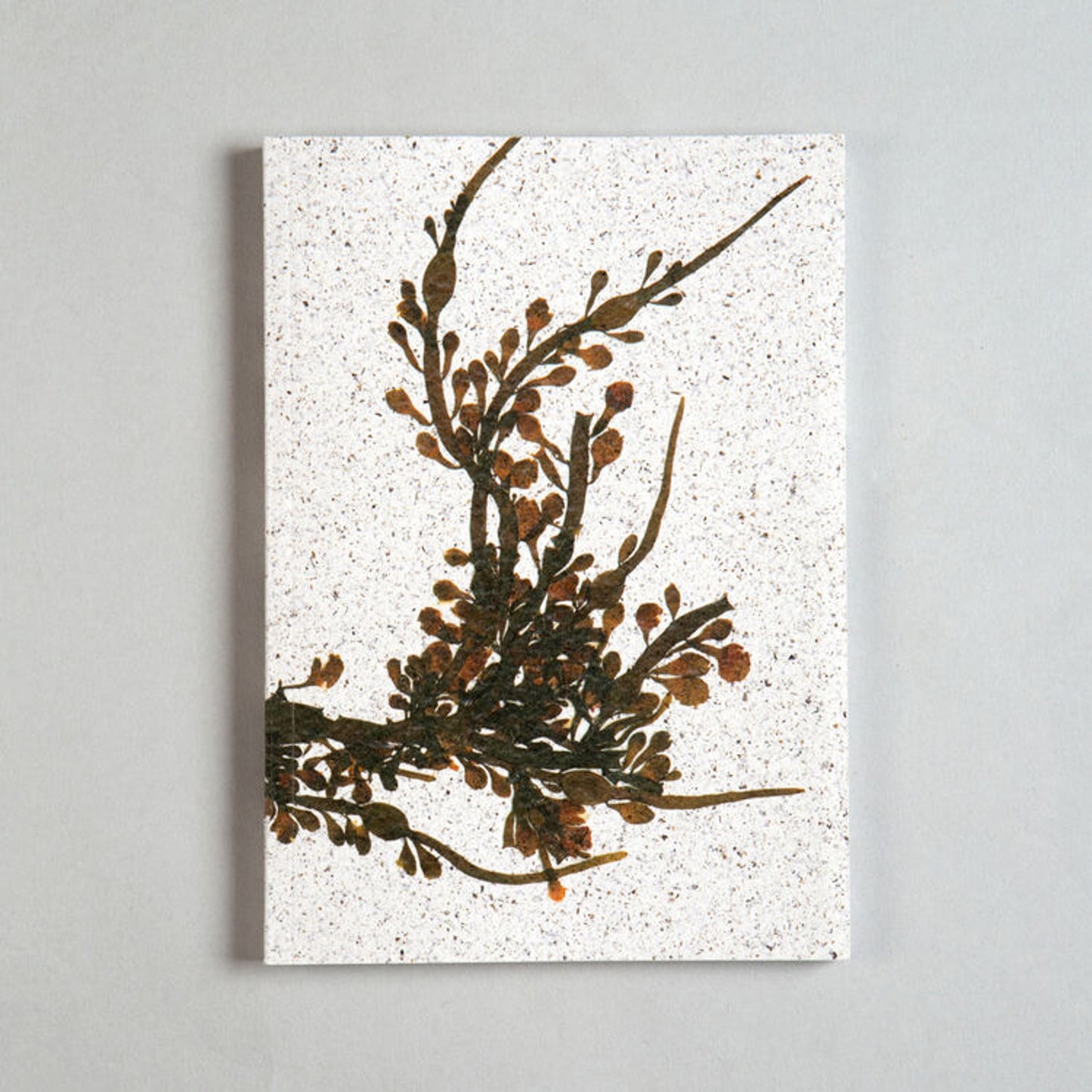 Seaweed Notepad, Notebook