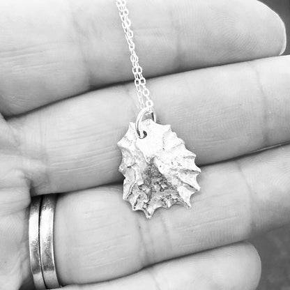 Silver Limpet Shell Necklace - Full Shell