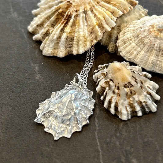 Silver Limpet Shell Necklace - Full Shell