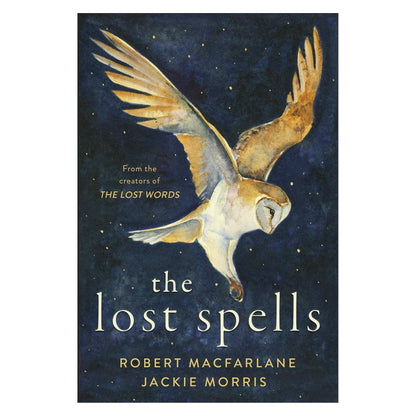 Lost Spells - Book