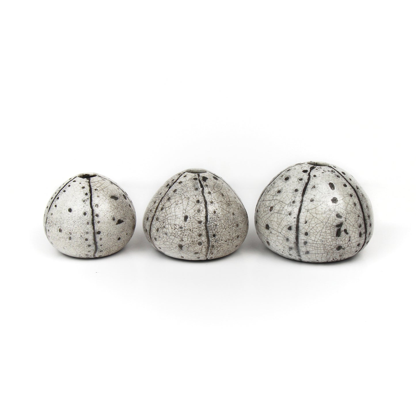 Raku Sea Urchins - Black and White