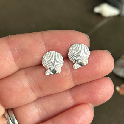 Silver Scallop Earrings