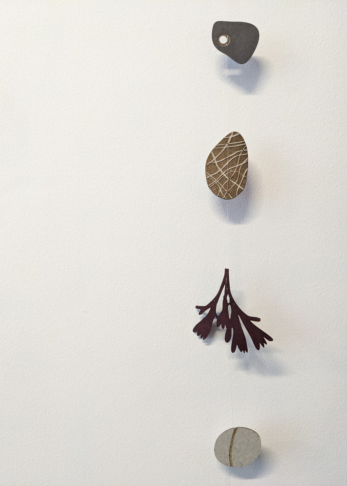 Collection of Paper Pebbles and Seaweed