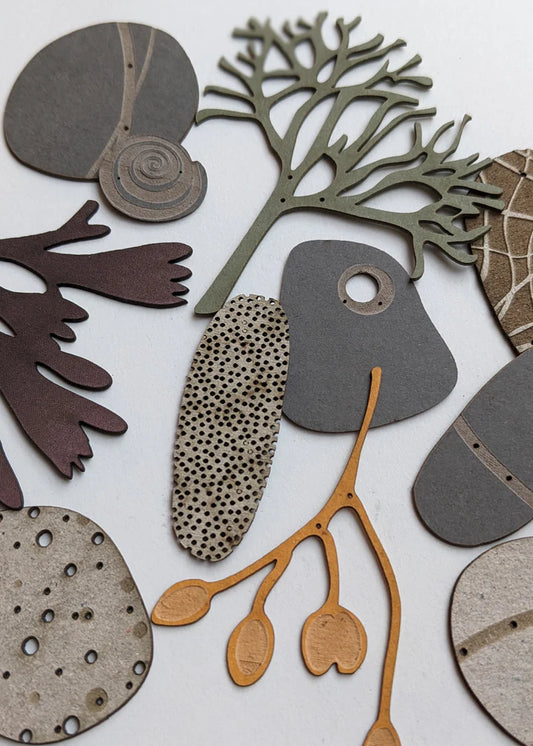 Collection of Paper Pebbles and Seaweed