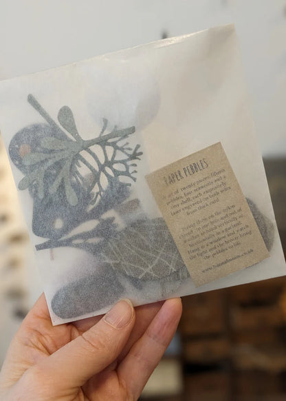 Collection of Paper Pebbles and Seaweed