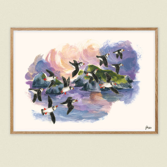 St Kilda Puffins - Print