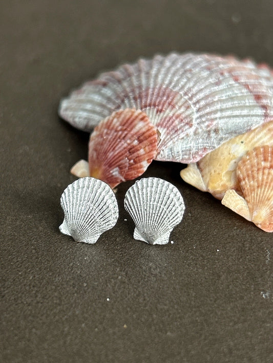 Silver Scallop Earrings