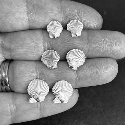 Silver Scallop Earrings