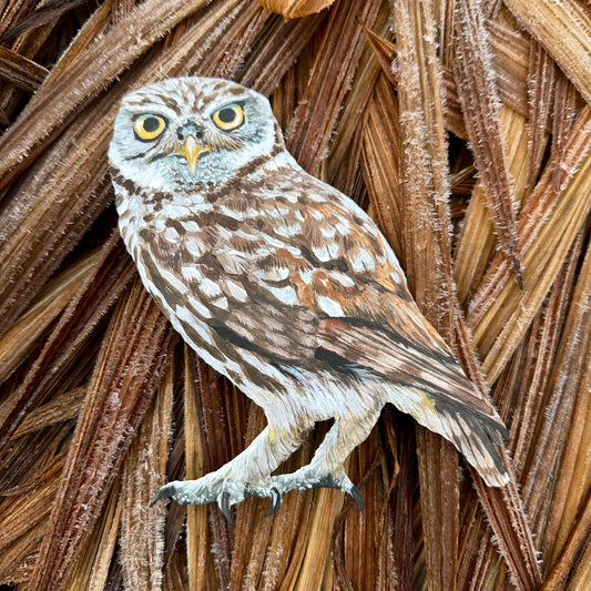 Tin Little Owl - Painted