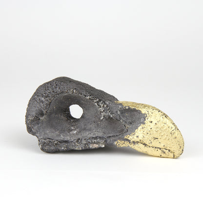 Sea Eagle Head